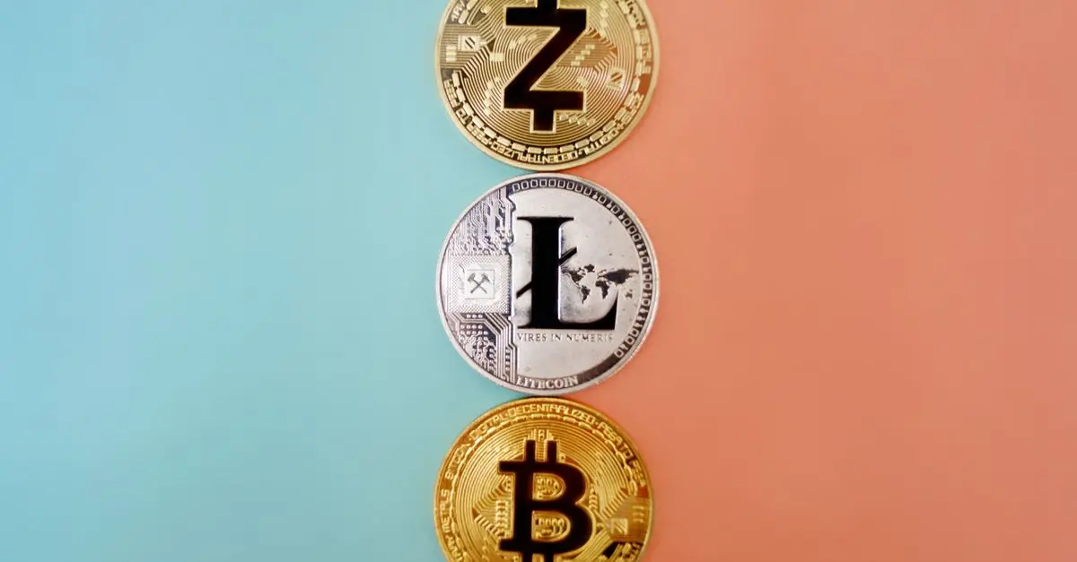 Top Altcoins for Long-Term Investment